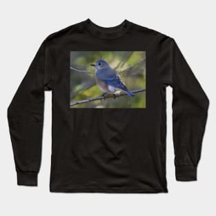 Female Eastern Bluebird Long Sleeve T-Shirt